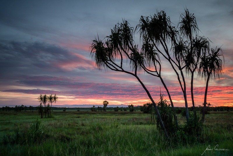Sunrise at Weavers - Litchfield & Surrounds