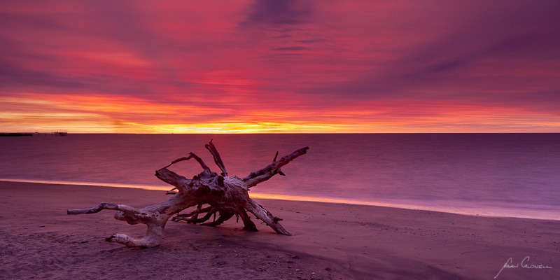 Sunset Log - Darwin Foreshore