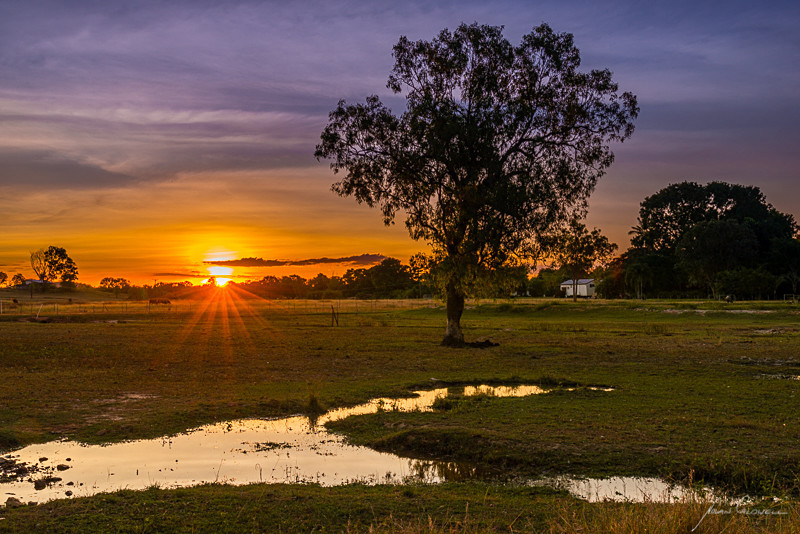 Sunstar at Mount Bundy - Adelaide River - Litchfield & Surrounds