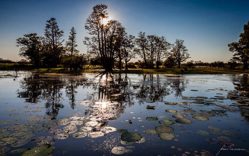 Sunlight Reflections - Mary River & Kakadu