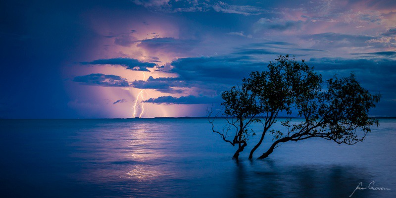 Mangrove Strike - Darwin Foreshore