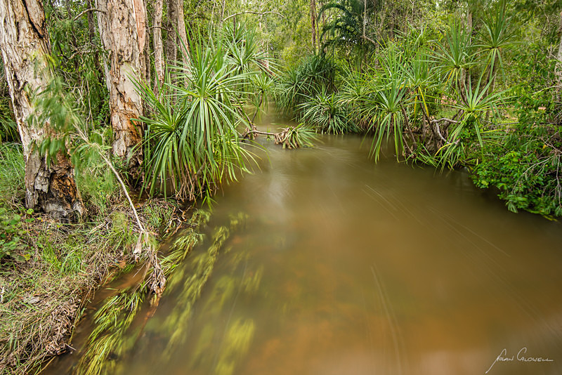 Alligator Creek, Daly Region, NT - Litchfield & Surrounds
