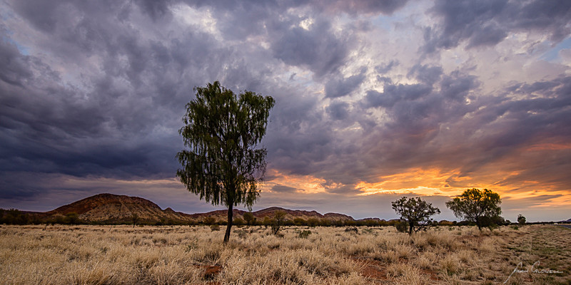 Centre Sunset - Alice Springs and Southern N.T.