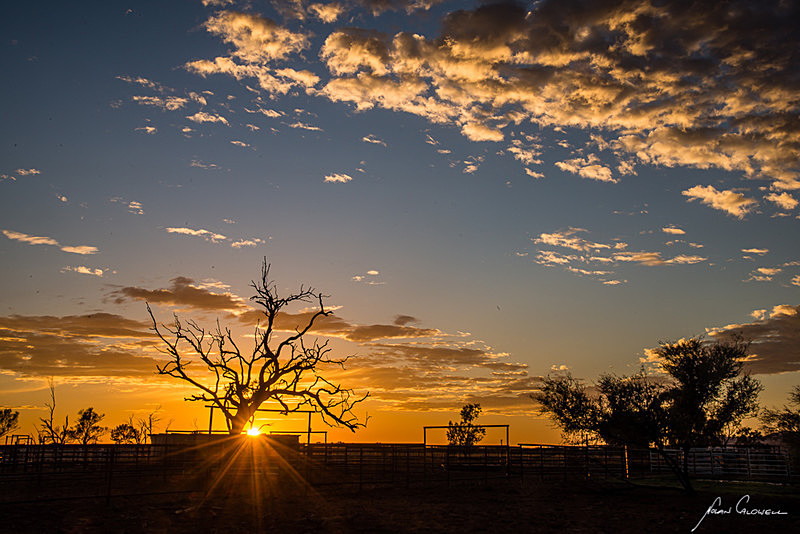 Sunstar at EJ's - Alice Springs and Southern N.T.
