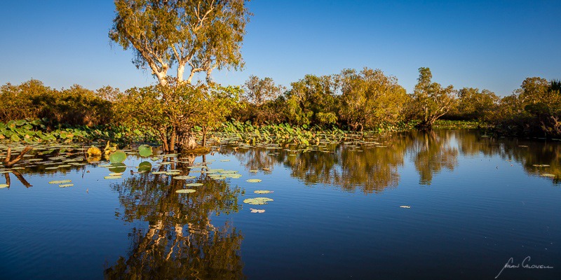 Billabong Sunrise - Mary River & Kakadu