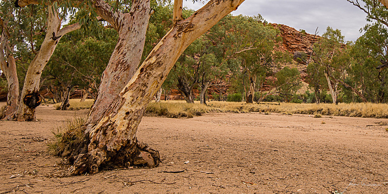 Dry River - Alice Springs and Southern N.T.
