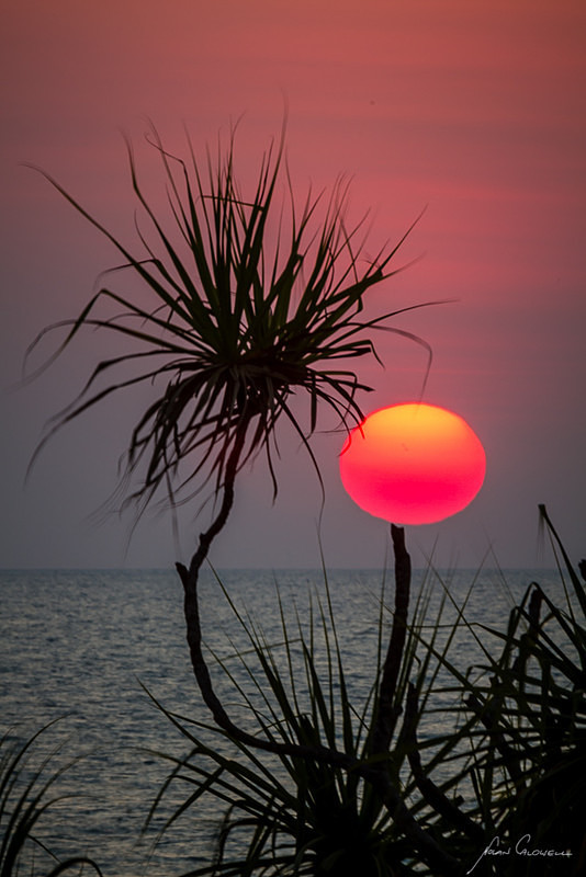 Ball on a Stick - Darwin Foreshore