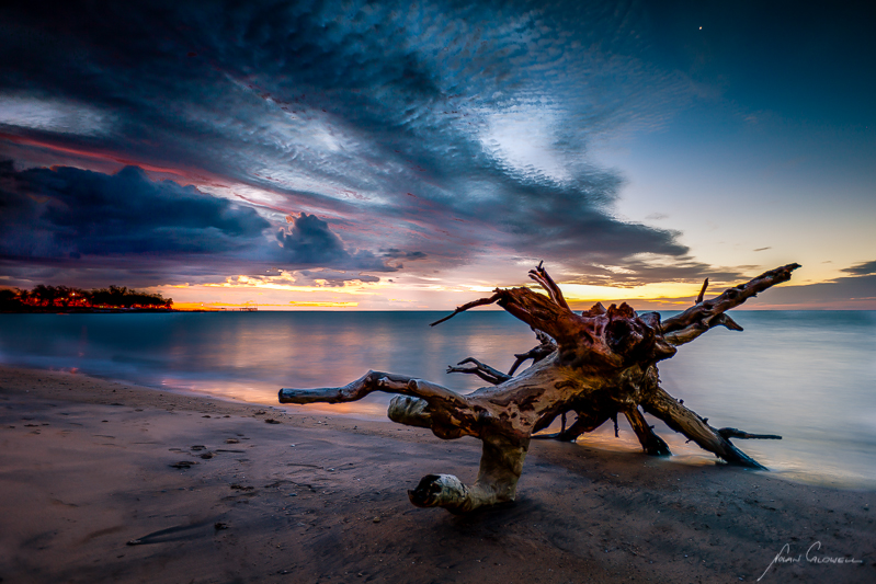Driftwood under Venus - Darwin Foreshore