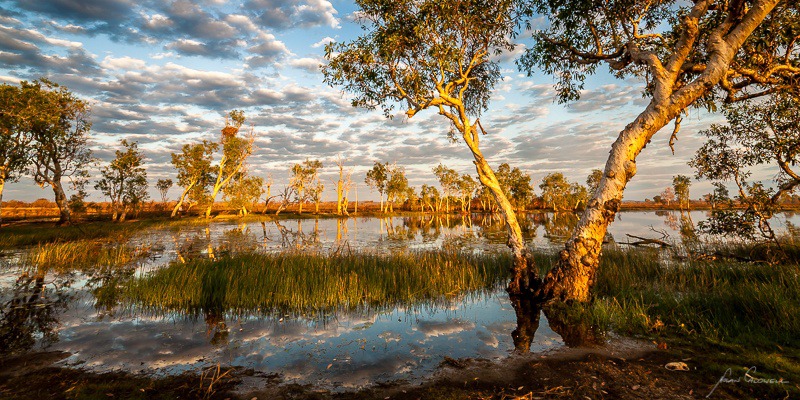 Melaluca Reflections - Mary River & Kakadu