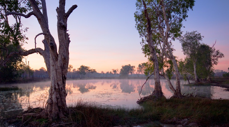 Billabong Reflections - Mary River & Kakadu