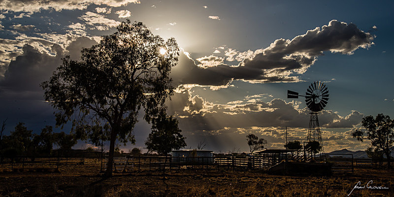 Christmas Bore Yards on Narwietooma Station - Alice Springs and Southern N.T.