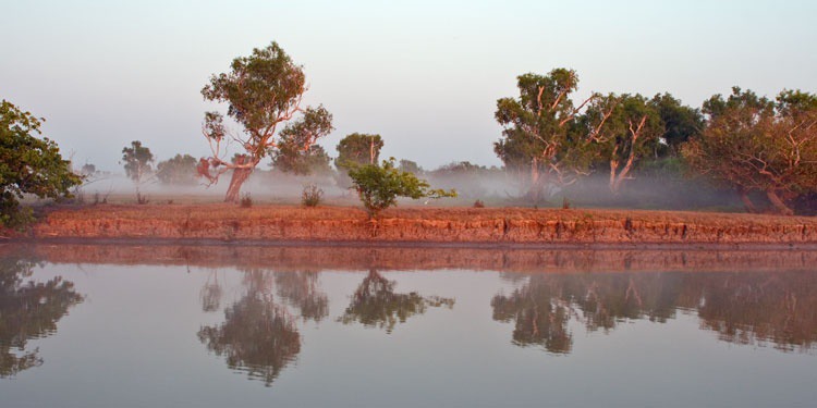 Misty Colour - Mary River & Kakadu