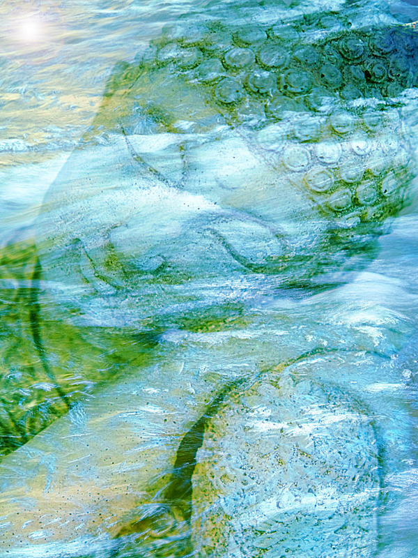 Peace - IMPRESSIONS