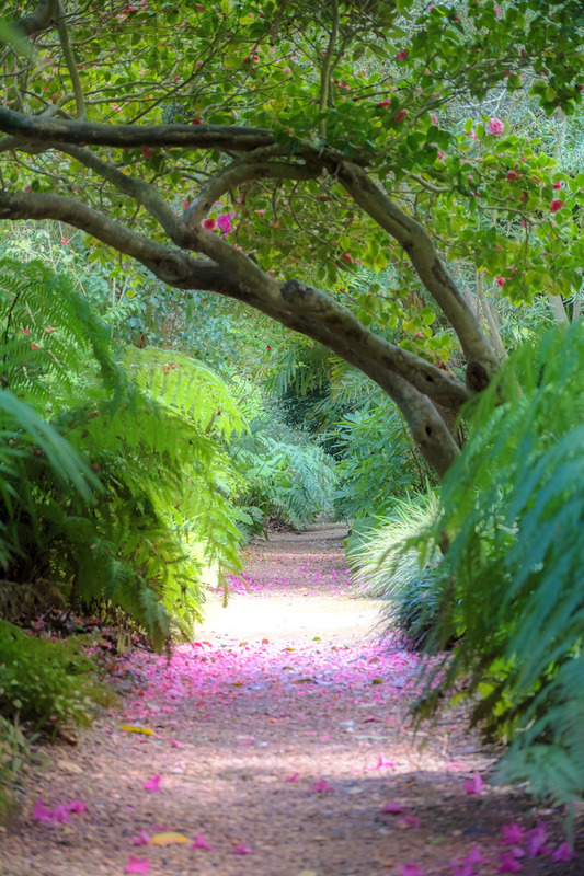 19th April Sub Tropical Gardens - APRIL