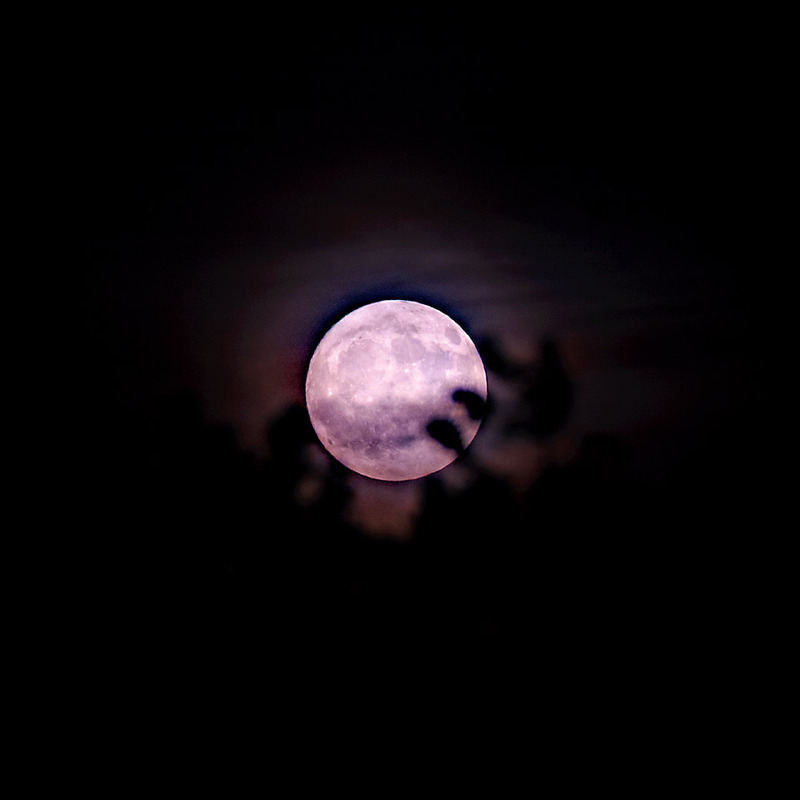 10th June Strawberry Moon - JUNE