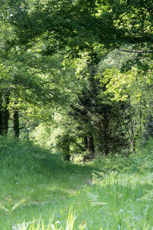 9th May Woodland Ride - MAY