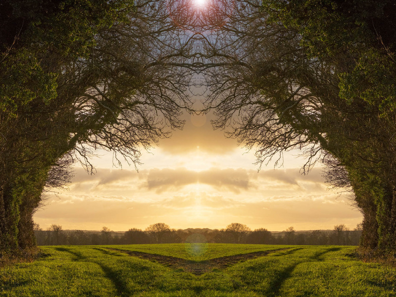 13th Dec Golden Dream - DECEMBER