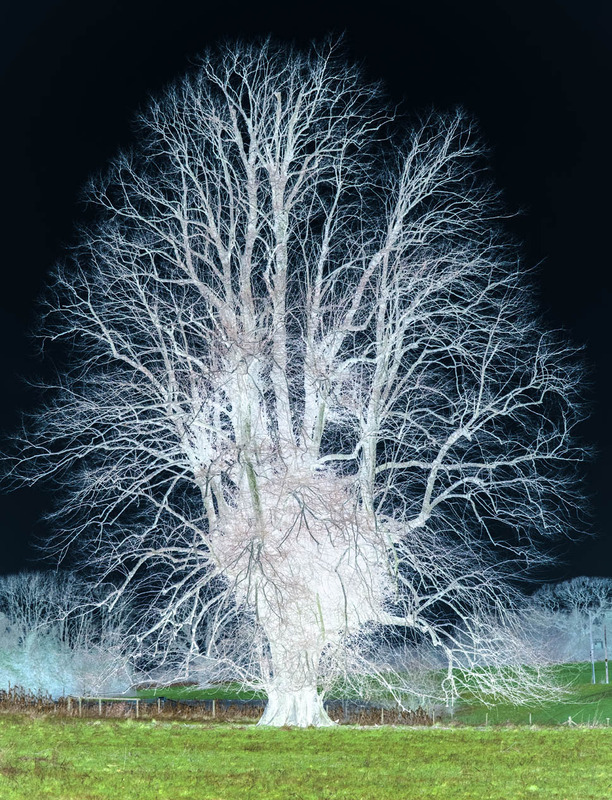 1st January Spectral - JANUARY