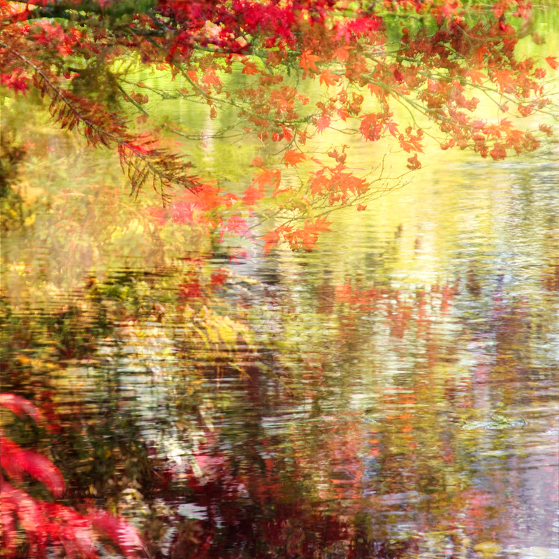 Fleeting Moment - IMPRESSIONS