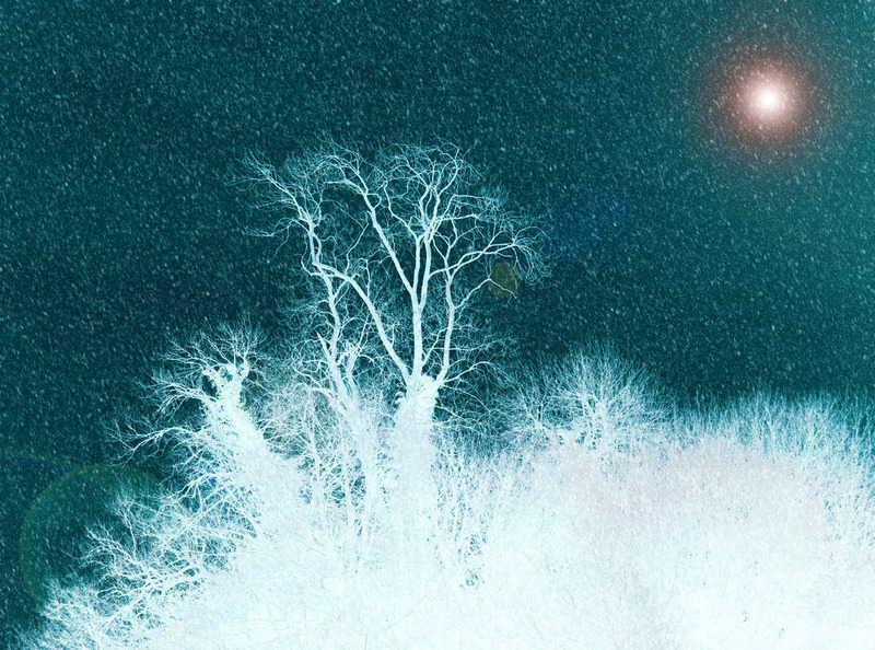 17th February Ash Moon - FEBRUARY