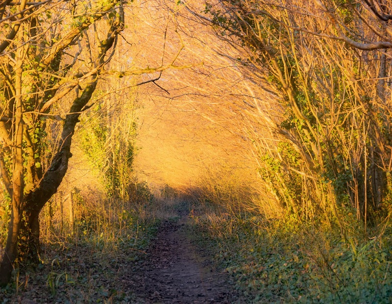 12th January Golden Pathway - JANUARY