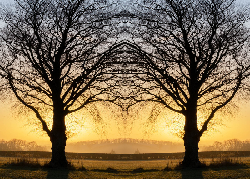 31st Dec Golden Sunrise - DECEMBER