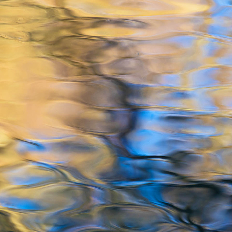 6th February Reflections - FEBRUARY