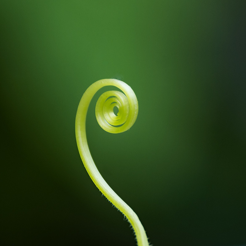 3rd August Spiral - AUGUST