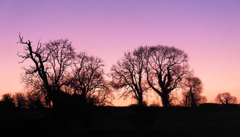 22nd January Silhouetted - JANUARY