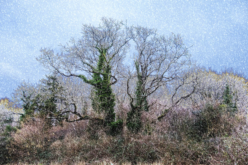 13th February - FEBRUARY