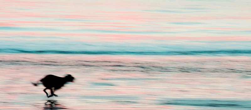 Wait for Me - PANORAMIC