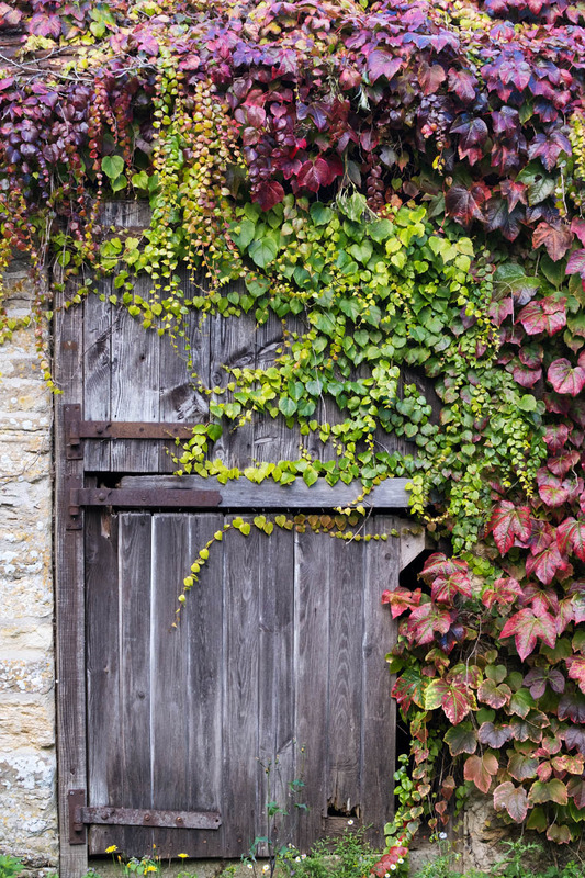 8th Oct Autumn Colours - OCTOBER