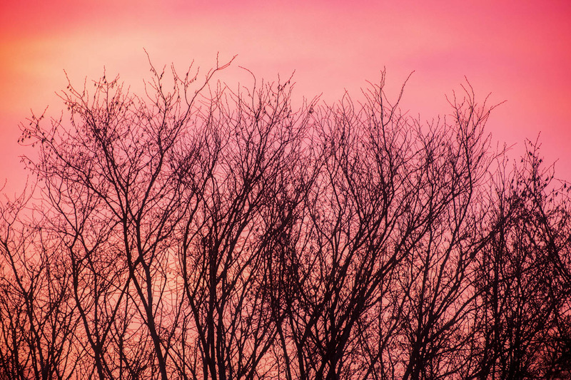 29th January Sunrise - JANUARY