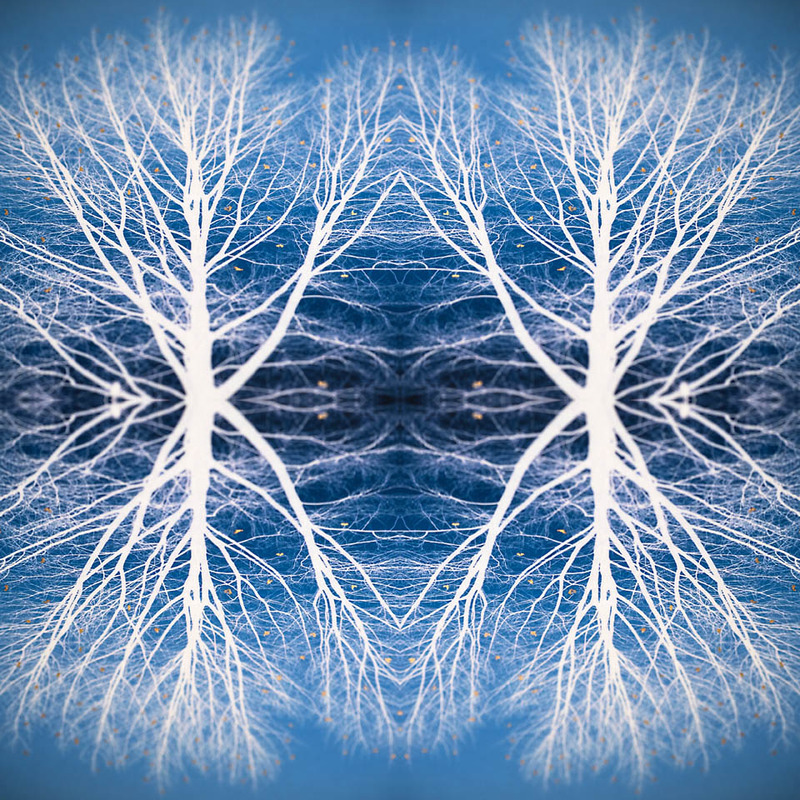 4th Oct Mirrored - OCTOBER