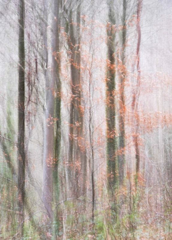 29th Dec Autumn Abstract - DECEMBER