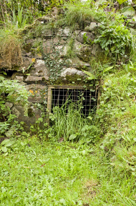 St Gennys Well, Cornwall - SACRED SITES