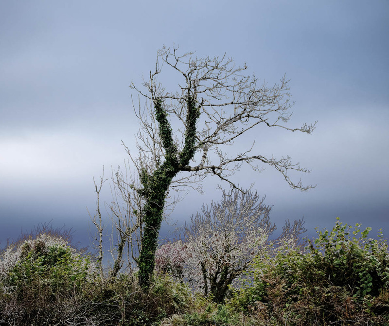 15th Oct Reaching Out - OCTOBER