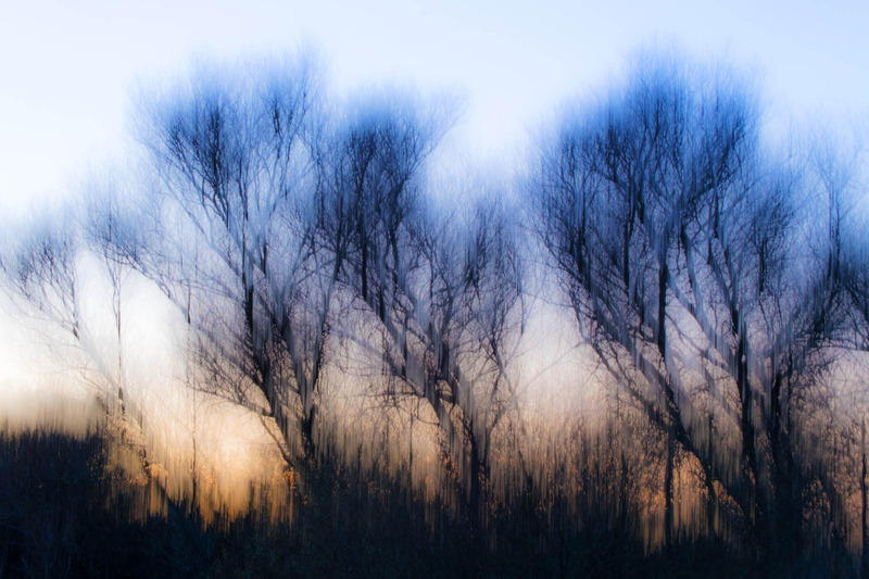 21st Nov Alder Abstract - NOVEMBER