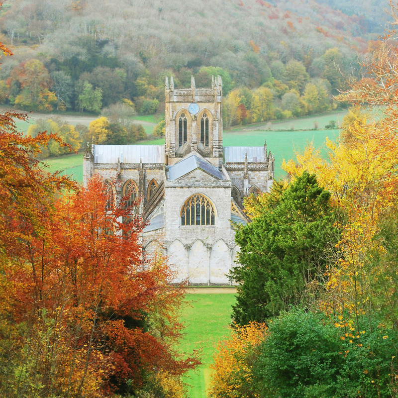 Autumn at Milton Abbey - LANDSCAPE