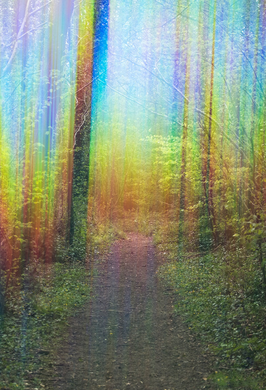 20th April Light Codes - APRIL
