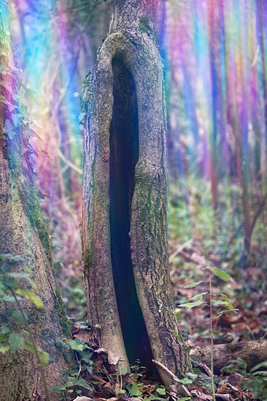 14th Dec Magic Doorway - DECEMBER