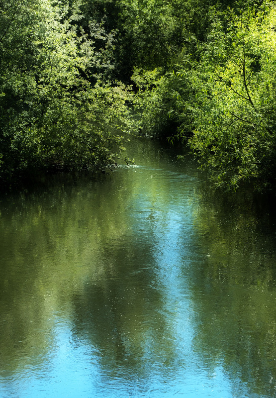 13th May River Frome - MAY