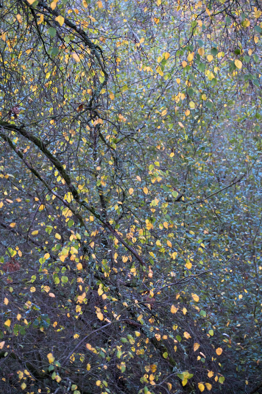 12th Nov Fragments - NOVEMBER