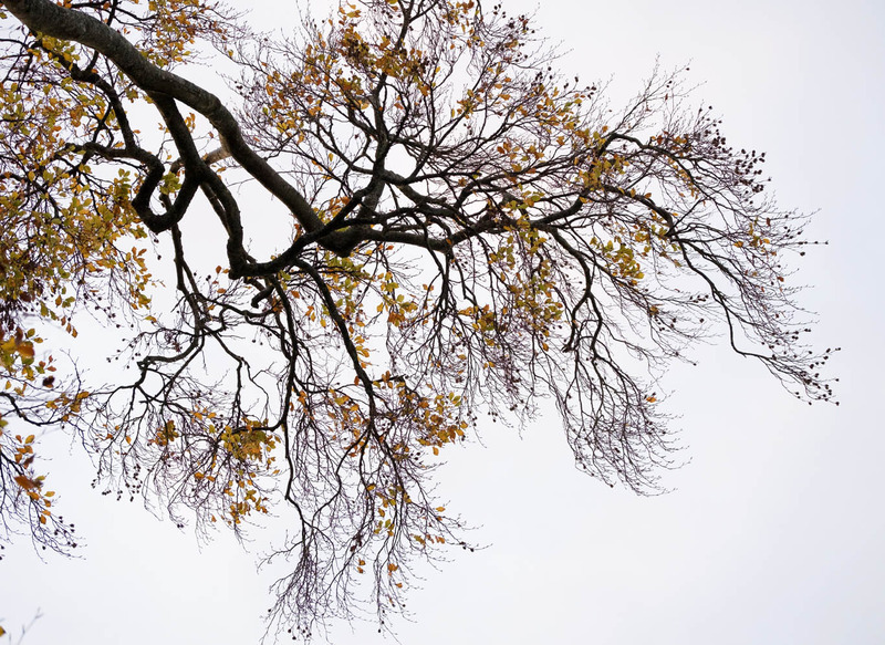 16th Nov Hanging On - NOVEMBER