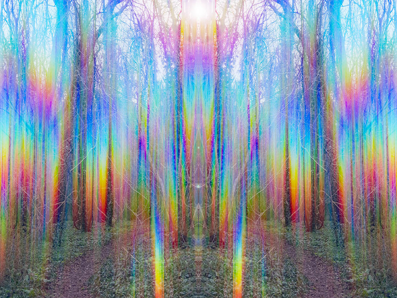 Circle of Light - INTO THE LIGHT