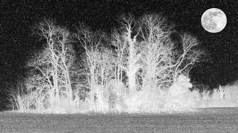 17th January Snow Moon - JANUARY