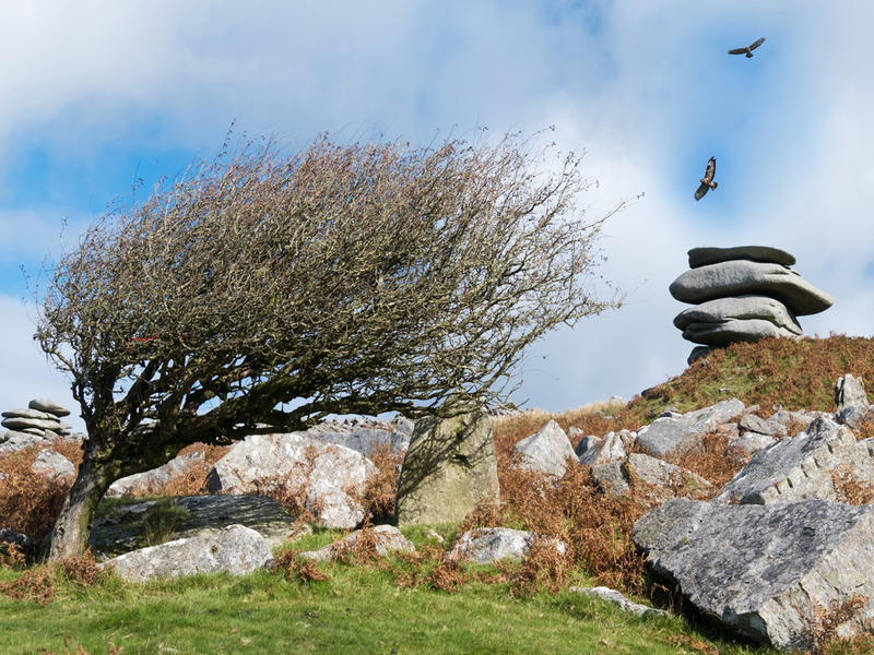 Sacred Land - LANDSCAPE
