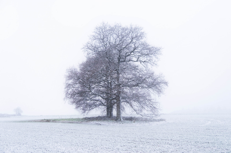 8th January Winters Breath - JANUARY