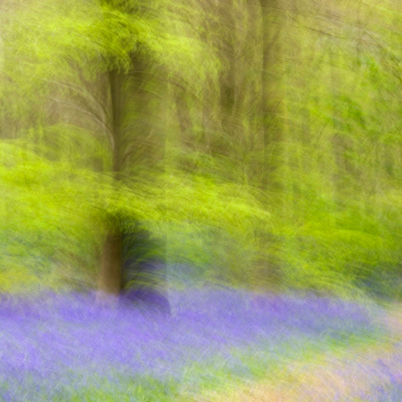 Moment in Time - IMPRESSIONS
