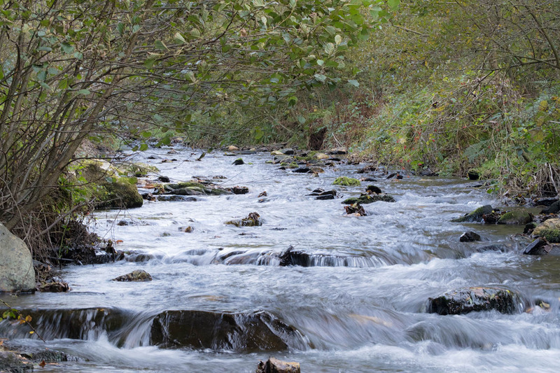 16th Oct Valency River - OCTOBER